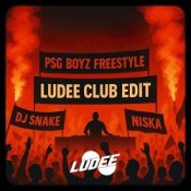 Обложка DJ SNAKE & NISKA – PSG BOYZ FREESTYLE