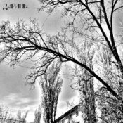 Обложка TheNobleMan – я не могу её узнать