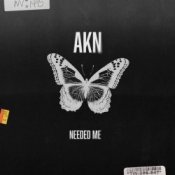 Обложка AKN – Needed Me