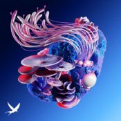 Обложка Korolova & MotherEarth feat. Tyoz – Nightshapes (Bigfett Remix)