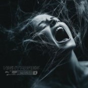 Обложка skyfall beats, bulletrain – nightmares (remake 2025)