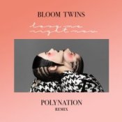 Обложка Bloom Twins – Love Me Right Now (Polynation Remix)