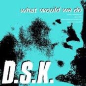 Обложка DSK – What Would We Do (Original Mix)