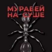 Обложка KRBK – Муравей на суше