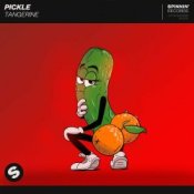 Обложка Pickle – Journey