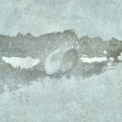 Обложка ssshhhiiittt! – Сухоцвет