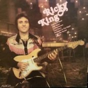 Обложка Ricky King – Strangers in the Night