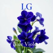 Обложка Lali Gordzamashvili – ლურჯი იები-Blue Violets