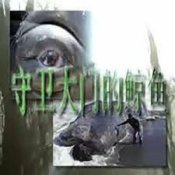 Обложка Yabujin – CHALICE OF MIND