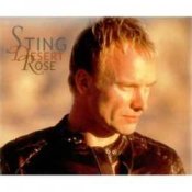 Обложка Sting & Feat Cheb Mami – Desert Rose