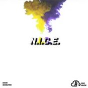 Kevin Schouten – N.I.C.E.