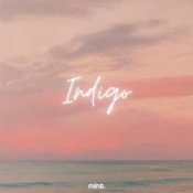 Обложка Venteris & Steanie Mary – Indigo