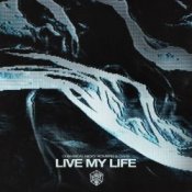 Обложка DubVision & Nicky Romero & Oaks – Live My Life