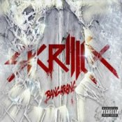 Обложка Skrillex – Go On
