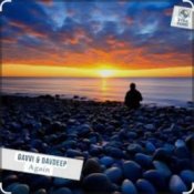 Davvi & DavDeep – Again