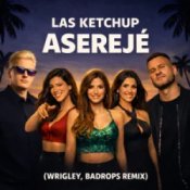 Обложка Las Ketchup – Asereje (Wrigley & Badrops Remix)