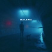 Обложка skyfall beats – balena