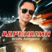 Обложка Игорь Латышко – А может это любовь
