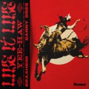 Обложка Braaheim & Danny Ores – Like It Like (Yee-Haw)