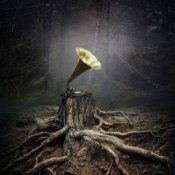 Борис Гребенщиков - Цветы На Огороде (Петр Мамонов)