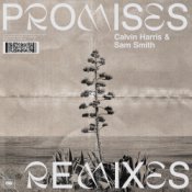 Обложка Calvin Harris;Sam Smith – Promises (David Guetta Remix)