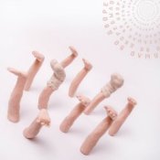 Обложка PALC – Во дворе