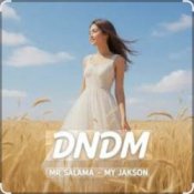 Обложка Mr Salama, DNDM – My Jakson