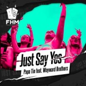 Обложка Papa Tin & Wayward Brothers – Just Say Yes Papa