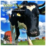 Обложка Victor Ruiz – I Look Into You