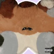 Обложка Hsien Ching – New Notes