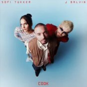Обложка SOFI TUKKER & J Balvin – COOK