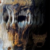 Harbinger's Remains - Antarctica