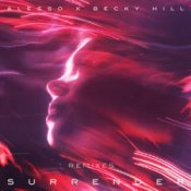 Обложка Alesso & Becky Hill – Surrender (MARTEN HØRGER Remix)