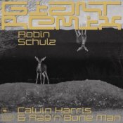 Обложка Robin Schulz – Intro