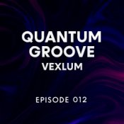 Обложка Vexlum – Quantum Groove 012