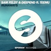 Обложка Sam Feldt & Deepend ft. Teemu – Runaways