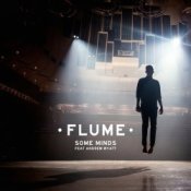 Обложка Flume – Some Minds (Feat. Andrew Wyatt)