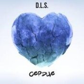 Обложка D.L.S. – Сердце