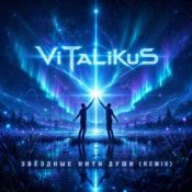 Обложка ViTaLiKuS – Звёздные нити души (Remix)