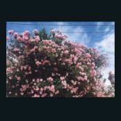 Обложка Ceres – Happy In Your Head