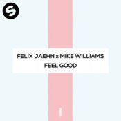 Обложка Felix Jaehn x Mike Williams – Feel Good