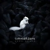 KARA KROSS - Сумасшедшая