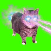 Обложка XertXetin – OIIA OIIA COSMIC Spinning CAT