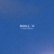 Обложка Shallou – Face in the Crowd (Knowpoint Remix)