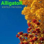 ALLIGATOR – Квітка УКРАЇНА