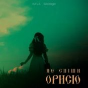 Обложка KAVA & Spraaga – Не спіши Орисю
