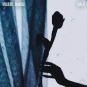 VOLB3X & Siadou - Dale