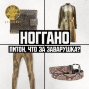 Обложка Ноггано – Питон, что за заварушка