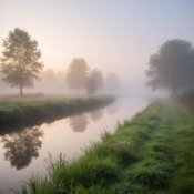 Сергей Видов - Родина