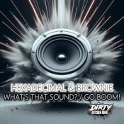 Hexadecimal & DJ Brownie - Go Boom!